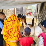 Gopashtami Utsav Jiapur Celebration by Gau Kranti Manch