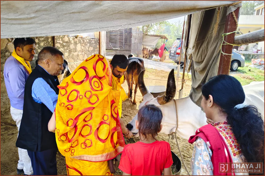 Gopashtami Utsav Jiapur Celebration by Gau Kranti Manch