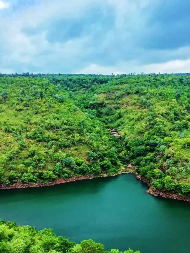 ये हैं आंध्र प्रदेश की नल्लामाला पहाड़ियां