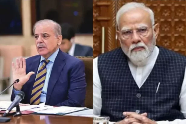 Shehbaz Sharif on Pahalgam Attack