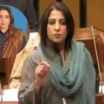 Pakistani Senator Palwasha Mohammad Zai Khan Controversial Statement
