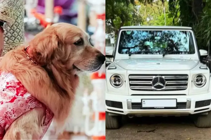 Ambani's Dog Mercedes