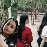 Bird feeders for birds by Womens Empowerment And Welfare Society Jaipur