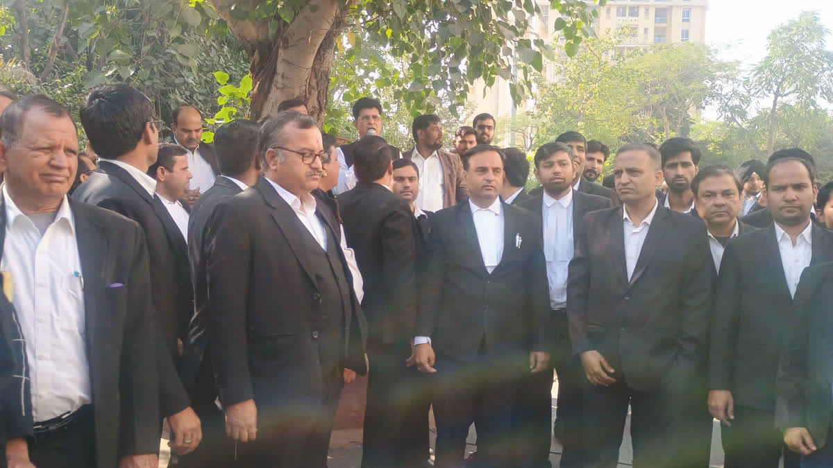 No stay on registry of society leases, lawyers return to work